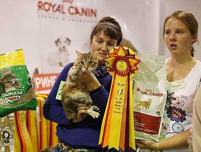 �������� ����� '���-�����-��������' 20-21 �������� 2014 7-204-169A1745 copy.jpg